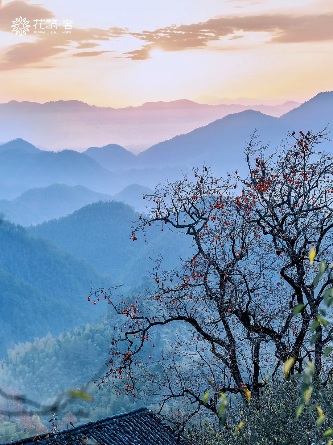 被《国家地理》评为皖南最美古村的秋天有绝_8_花筑奢_安徽徽州-来自52tours 我爱旅游网